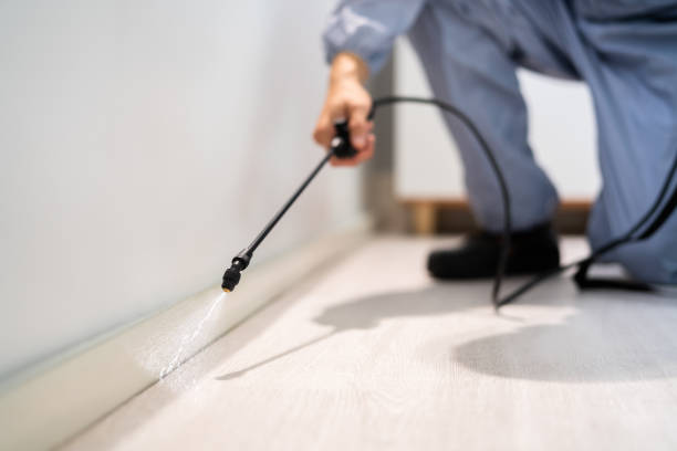 Licensed Cockroach Control service in Garden City, GA - Nex Pest Control
