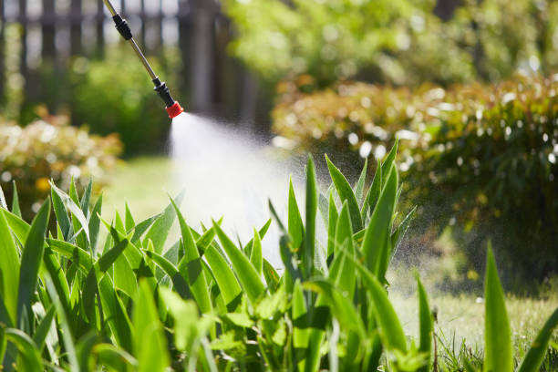 24/7 Emergency Cockroach Control experts in Garden City, GA