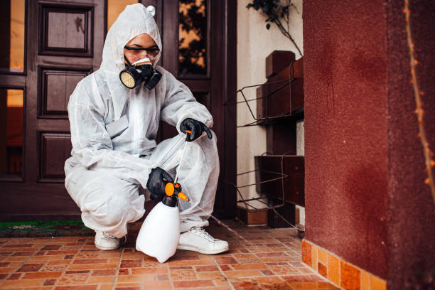 Reliable Cockroach Control contractor in Garden City, GA by Nex Pest Control