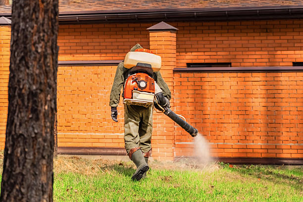 Top rated local Cockroach Control specialists in Garden City, GA